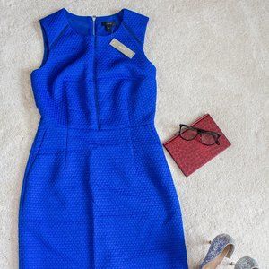 J.Crew Royal Blue Dress